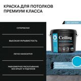 CARD_2_Celling_9L_.jpg